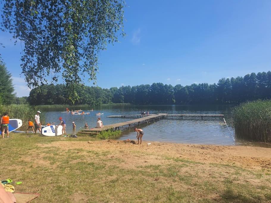 Holenderki Na Zielonych Wzgorzach, Lowyn Экстерьер фото