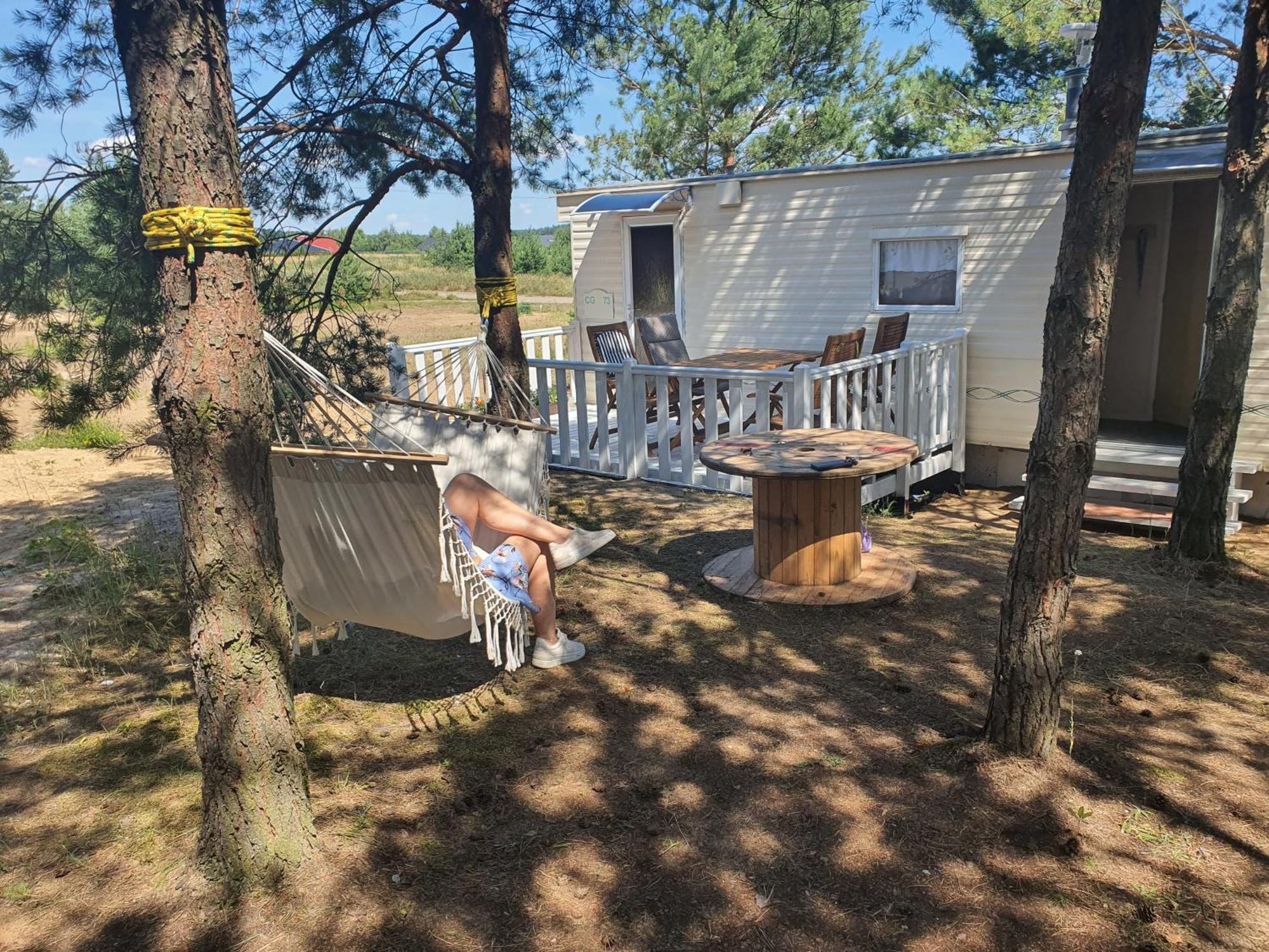 Holenderki Na Zielonych Wzgorzach, Lowyn Экстерьер фото