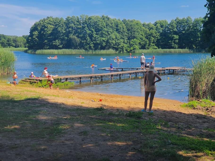 Holenderki Na Zielonych Wzgorzach, Lowyn Экстерьер фото